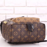 Louis Vuitton Palm Springs Pm M44870 Brown